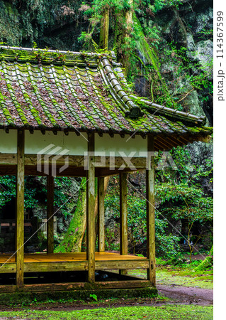 新緑の岩戸神社　【長崎県雲仙市】 114367599