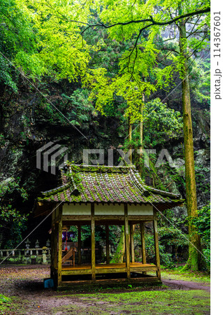 新緑の岩戸神社　【長崎県雲仙市】 114367601