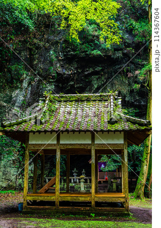 新緑の岩戸神社　【長崎県雲仙市】 114367604