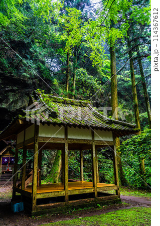 新緑の岩戸神社　【長崎県雲仙市】 114367612