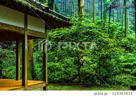 新緑の岩戸神社　【長崎県雲仙市】 114367617
