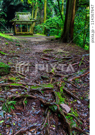 新緑の岩戸神社　【長崎県雲仙市】 114367647