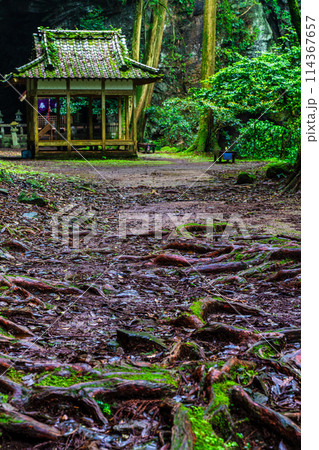 新緑の岩戸神社　【長崎県雲仙市】 114367657