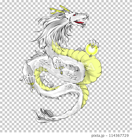 龍玉を持つ白龍 114367729