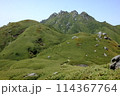 屋久島　永田岳　宮之浦岳山頂　展望 114367764