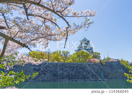 【桜】春の大阪城公園【大阪城天守閣】 114368045