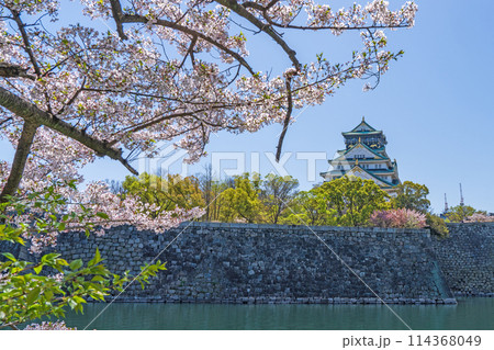 【桜】春の大阪城公園【大阪城天守閣】 114368049