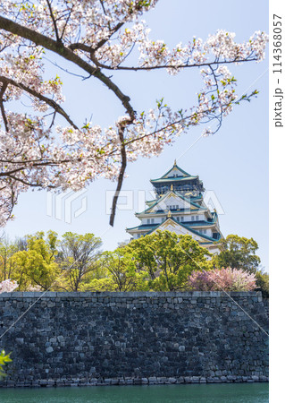【桜】春の大阪城公園【大阪城天守閣】 【桜】春の大阪城公園【大阪城天守閣】 114368057