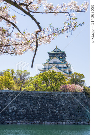 【桜】春の大阪城公園【大阪城天守閣】 【桜】春の大阪城公園【大阪城天守閣】 114368059