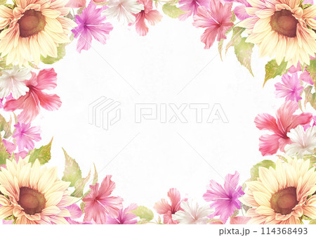 夏のひまわりとハイビスカスの花枠 114368493