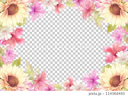 夏のひまわりとハイビスカスの花枠 114368493