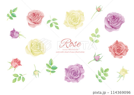 カラフルなバラの花のイラスト素材 114369096