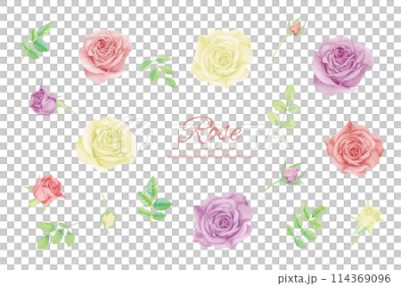 Colorful rose flower illustration material 114369096