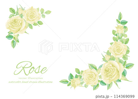 水彩で描いた白いバラのフレーム素材 114369099