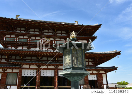 青空に映える薬師寺金堂 114369343