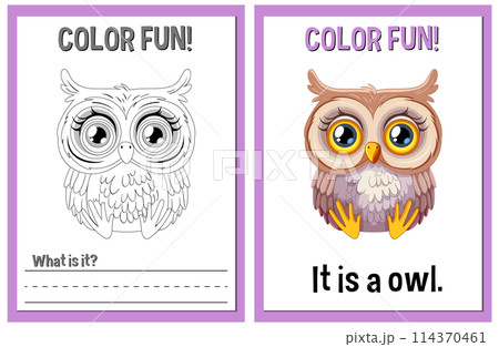 Color Fun Owl Illustration Activity 114370461