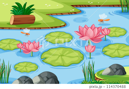 Serene Pond with Blooming Lotus Flowers 114370488