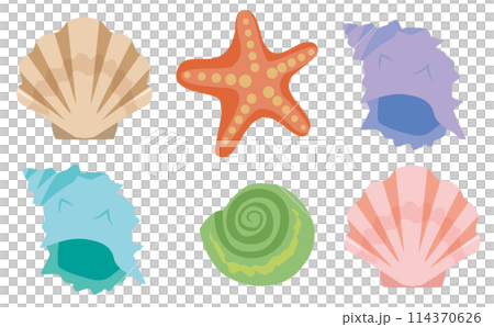 カラフルな貝のベクターイラスト 114370626