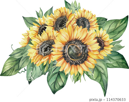 水彩画のひまわりの花ベクターデータ 114370633