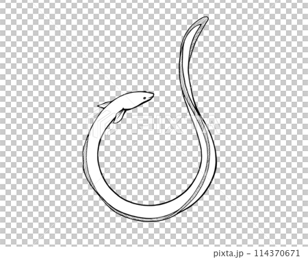 円状のウナギのシンプルな線画イラスト 114370671