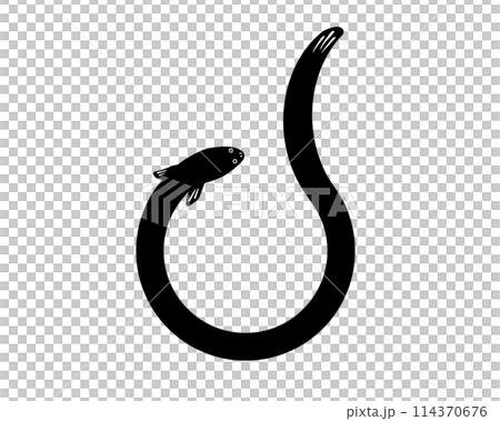 可愛い円状のウナギのシルエットイラスト 114370676