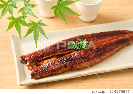 うなぎ蒲焼 うなぎ蒲焼 114370677