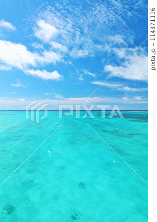 沖縄　宮古島　夏の青空と海 114371116