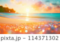 ゴールデンアワーのビーチ 114371302