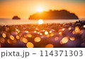 ゴールデンアワーの江ノ島 114371303