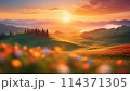 ゴールデンアワーの美瑛 114371305