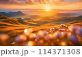 ゴールデンアワーの阿蘇 114371308