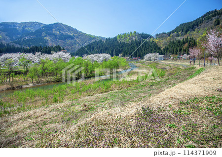 春の山村 114371909