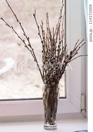 Bouquet of willow branches in a vase on the windowsill 114372009