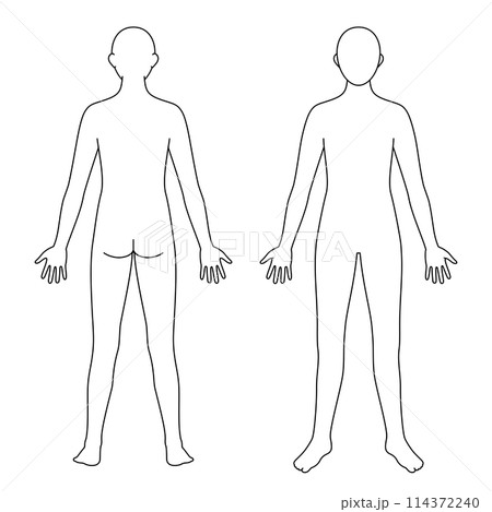 身体モデル 前後 白黒 身体モデル 前後 白黒 114372240