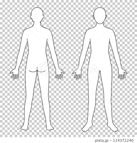 身体モデル 前後 白黒 身体モデル 前後 白黒 114372240