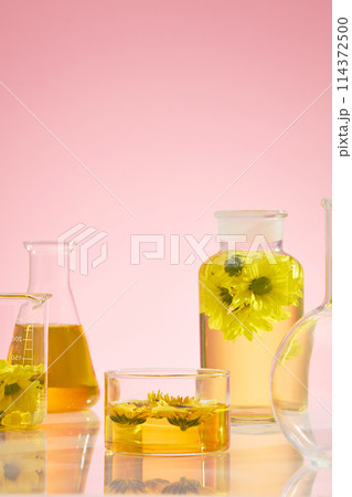Some containing utensils in laboratory such as glass bottle, beaker, boiling flask and erlenmeyer flask with yellow liquid and fresh calendula placed inside. Space for design with frontal shot 114372500
