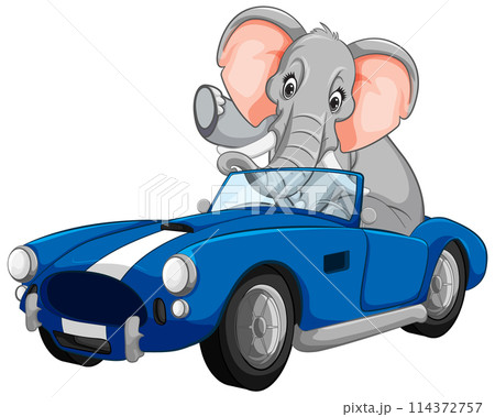Elephant Driving a Classic Sports Car Elephant Driving a Classic Sports Car 114372757