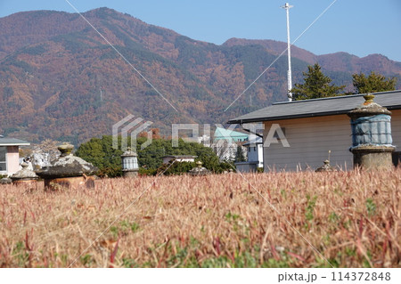 長野県の水道局の浄水場風景です。 114372848