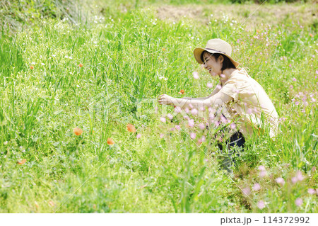 お花を摘む女性 114372992
