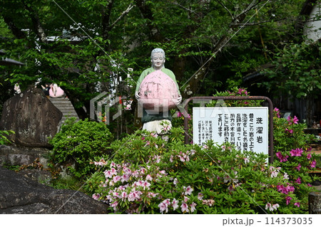 桃太郎神社 桃太郎神社 114373035