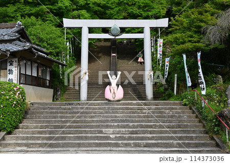桃太郎神社 桃太郎神社 114373036
