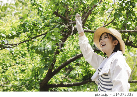 田舎暮らしをする女性 田舎暮らしをする女性 114373338