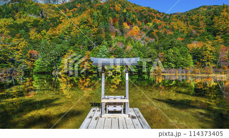 秋の上高地 明神池(明神一之池)の紅葉【長野県・松本市】 秋の上高地 明神池(明神一之池)の紅葉【長野県・松本市】 114373405