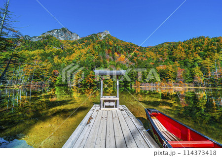 秋の上高地　紅葉が美しい明神池（明神一之池）の風景【長野県・松本市】 114373418