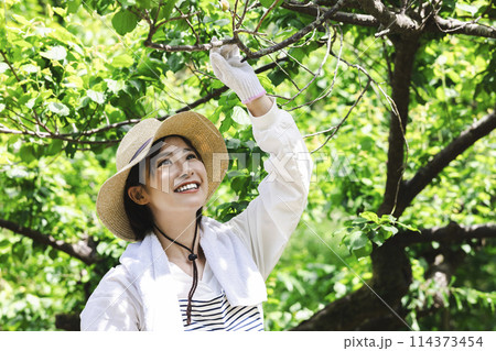 田舎暮らしをする女性 114373454