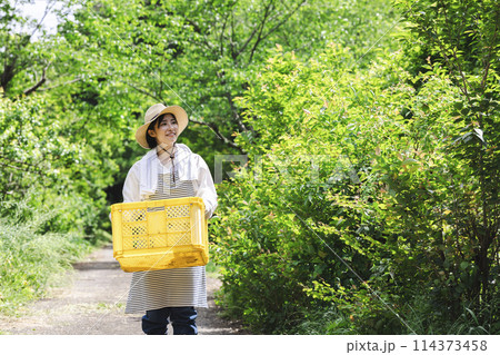田舎暮らしをする女性 114373458