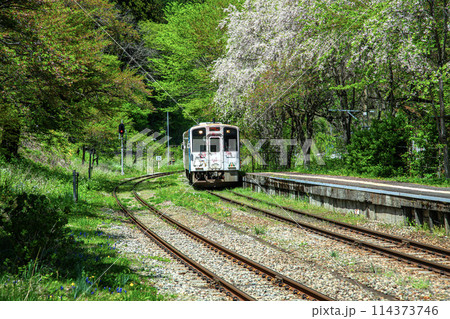 ローカル電車 114373746
