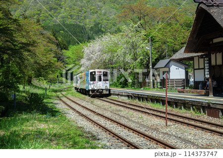 ローカル電車 ローカル電車 114373747