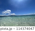 夏の海 114374047