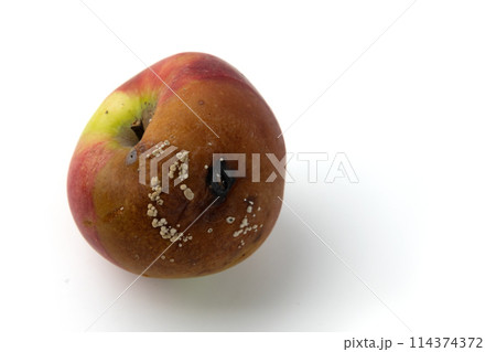 spoiled rotten apple isolated on white 114374372